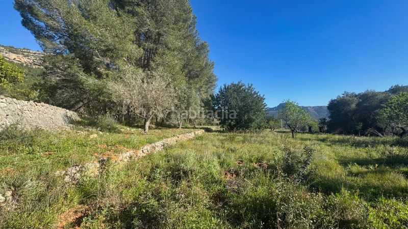 Foto a3ff53ef-c7d7-4b20-bbe1-1ea21e7121f5. Terreny residencial a Murla