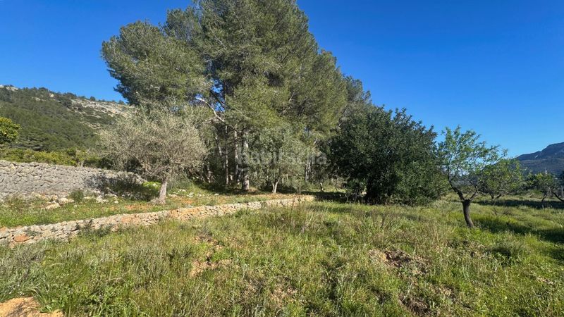 Foto d0b5daac-5e6f-49d9-bebd-0b91f4a17e87. Terreny residencial a Murla