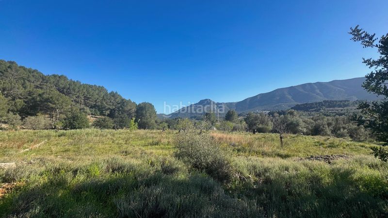 Foto fc0da71d-00ac-48fe-8616-3813a0726d52. Terreny residencial a Murla