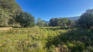 Terreny residencial a Parcent