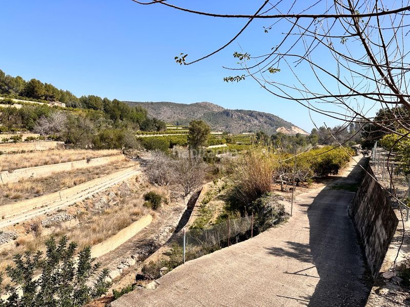 Foto 60747943-87c6-43f2-9c76-02113e1ee605. Terreny residencial a Atzúbia (L´)