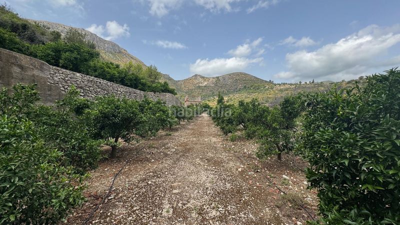 Foto 6eed6ce1-a598-404c-9633-b001704cdf25. Terreny residencial a Atzúbia (L´)