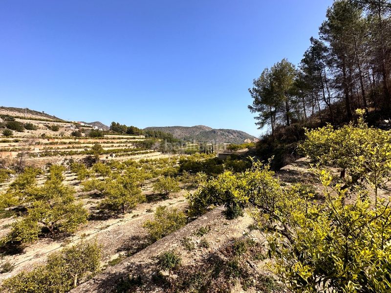 Foto 73135a47-d9e1-4c8c-9190-25df28680ce9. Terreny residencial a Atzúbia (L´)