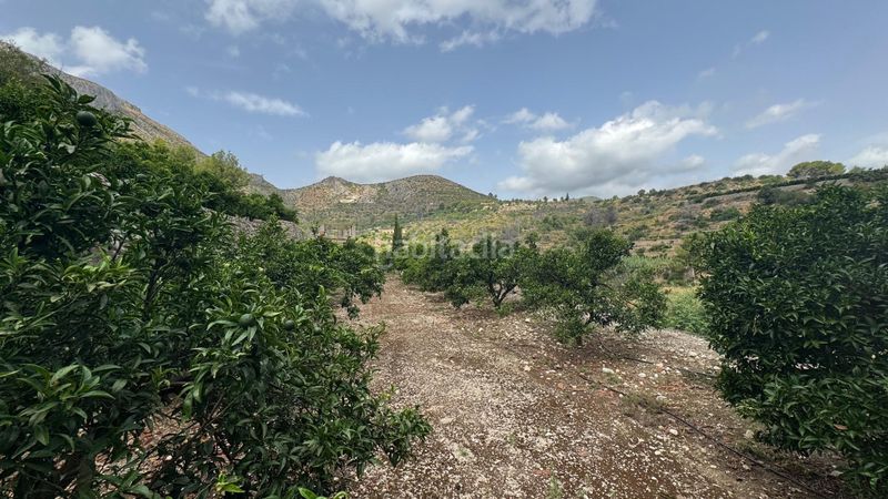 Foto a5890efd-e950-4c33-aa93-4b38f29e13a4. Terreny residencial a Atzúbia (L´)