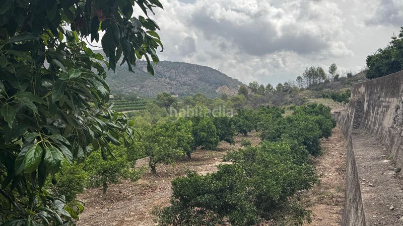 Foto b36f1cf9-81c9-436b-895e-5daf81862aaa. Terreny residencial a Atzúbia (L´)