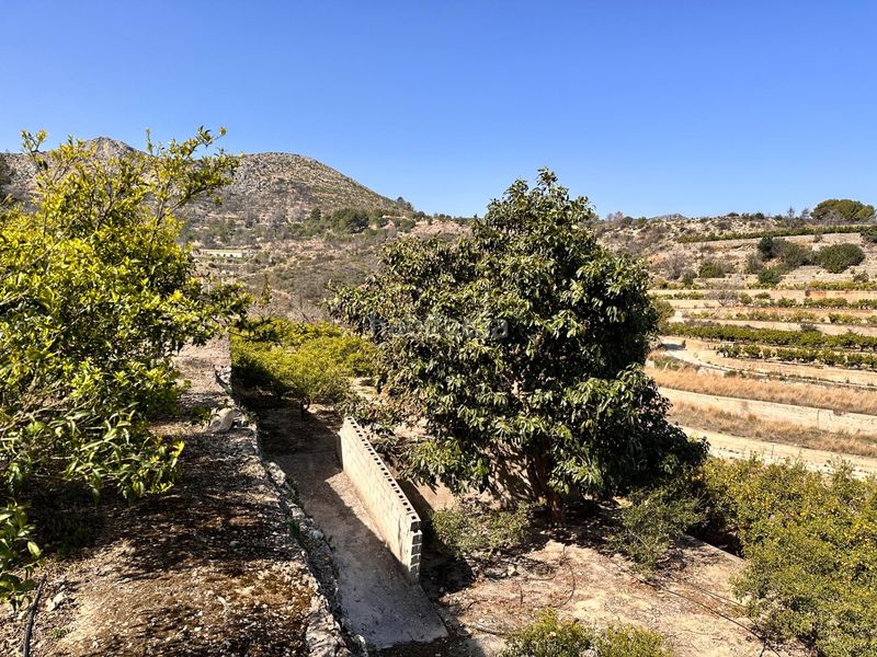 Foto d3277573-36f1-4b17-bc07-c81ae2bd9241. Terreny residencial a Atzúbia (L´)