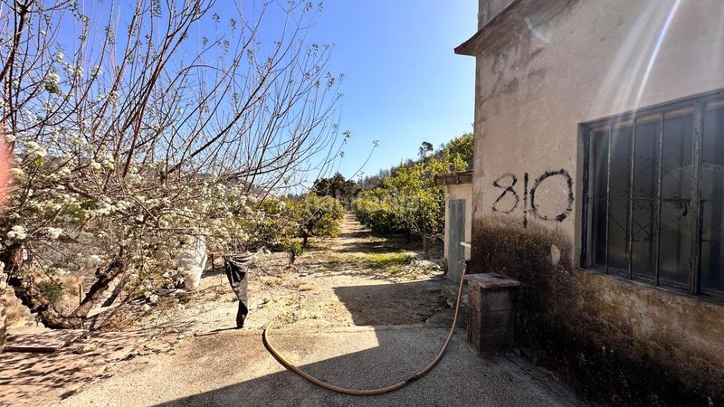 Foto e51f9c01-eac8-4955-b7cd-cc3ac36b2eaf. Terreny residencial a Atzúbia (L´)