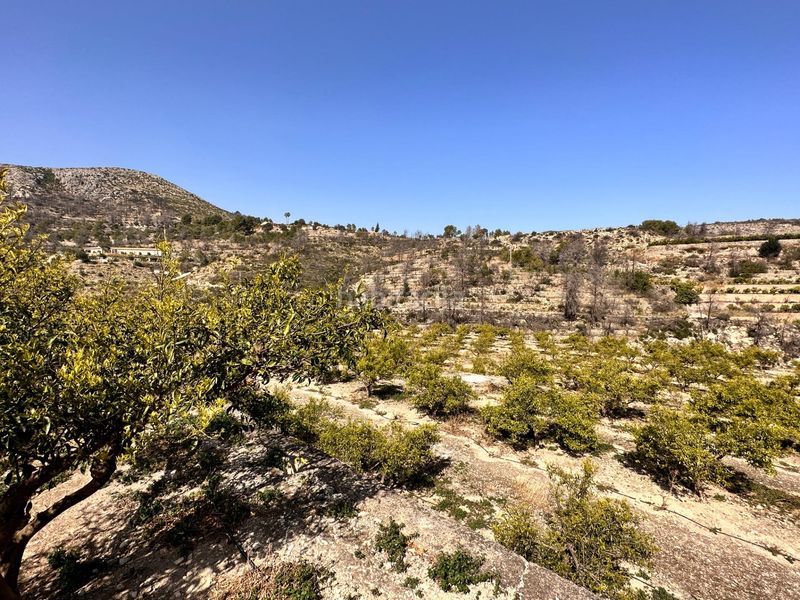 Foto f0cad5bc-741c-4bca-b625-9f65155dd793. Terreny residencial a Atzúbia (L´)