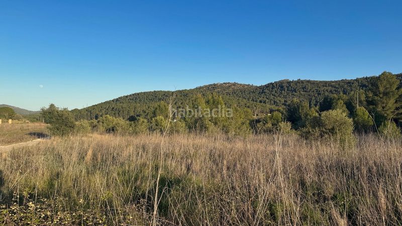 Foto da9d1dd3-7762-43bf-bc7c-fc4fae10fff3. Terreny residencial a Xaló