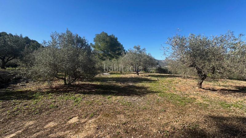 Foto 7d41a2c8-61d6-4708-80d8-c0043336a89f. Terreny residencial a Orba