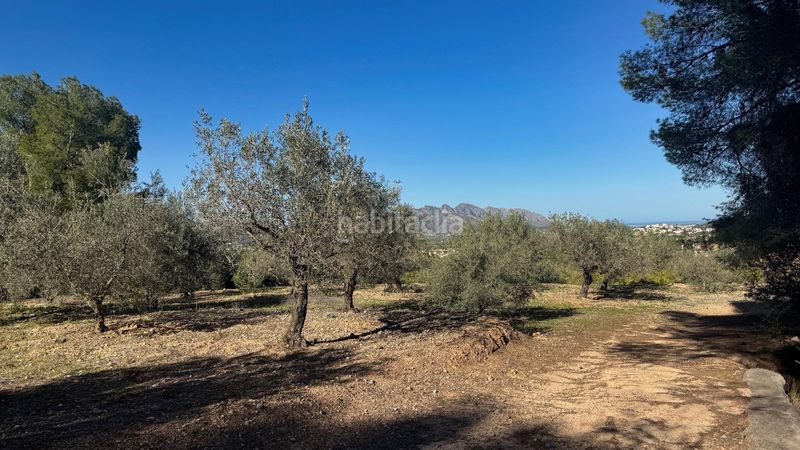 Foto 80cff4e1-8708-4dfd-b0ab-fca3e1a549ba. Terreny residencial a Orba