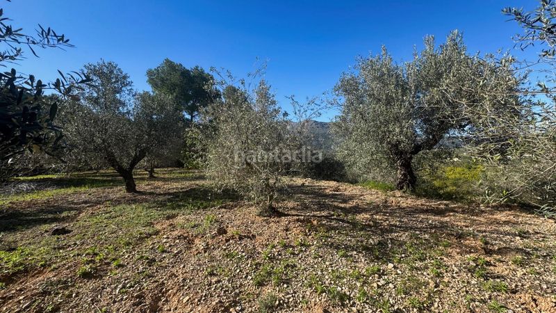 Foto dc1243d0-41d3-49a5-9c66-6d55d1bed084. Terreny residencial a Orba