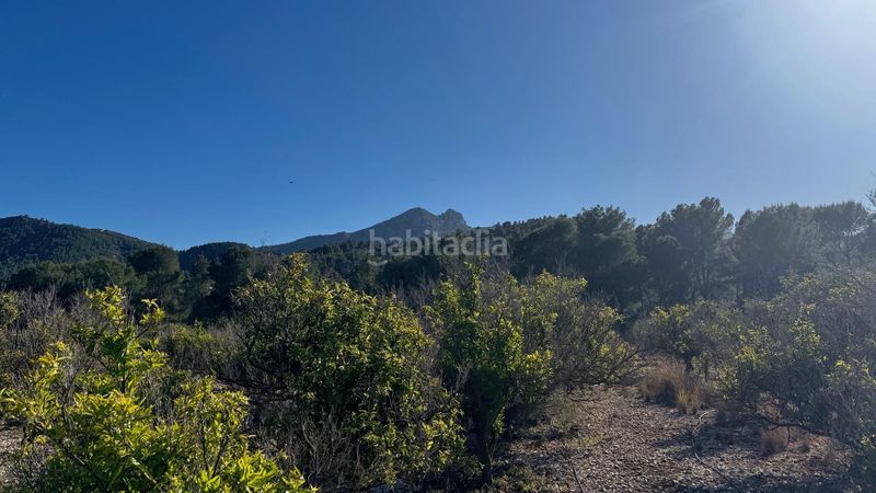 Foto e9f59e97-9665-4dac-8d11-7856be7ad67c. Terreny residencial a Orba