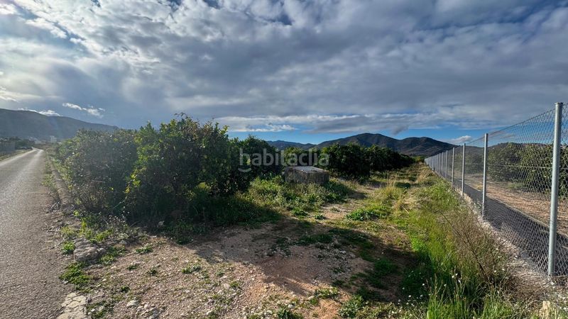 Foto fa20a223-ff17-4de1-816e-3b254ce42129. Finca rústica a Pego