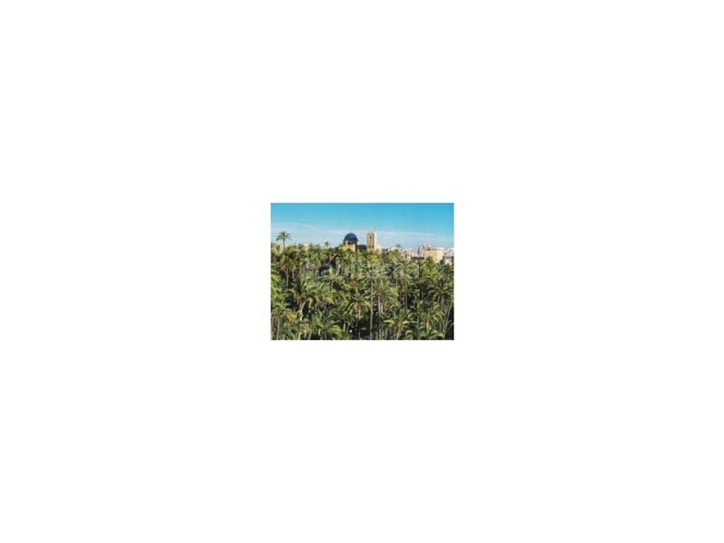 Foto c1ad9eea-3277-4c95-9cc9-c37e4c0c3319. Pis a Centro Elche / Elx