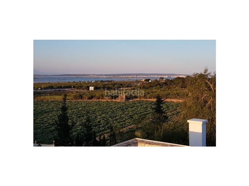 Foto 02b910ff-87f2-42a1-b82c-d6e168bd78ed. Casa amb piscina a La Marina Elche / Elx
