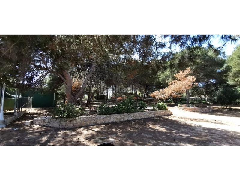 Foto 9024e39e-41f7-47fd-a2c2-e3351b4320e7. Casa amb piscina a La Marina Elche / Elx