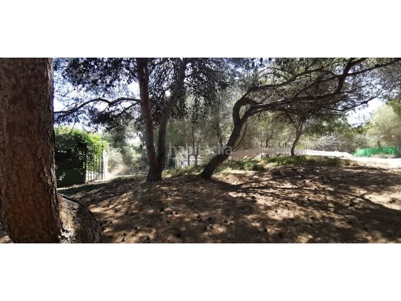 Foto b434efea-5e19-4682-b852-a20e3e2933d6. Casa amb piscina a La Marina Elche / Elx