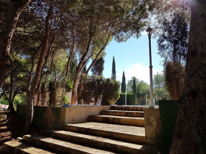 Foto ea65f253-3357-4dbf-838f-8d26ce0e969d. Casa amb piscina a La Marina Elche / Elx