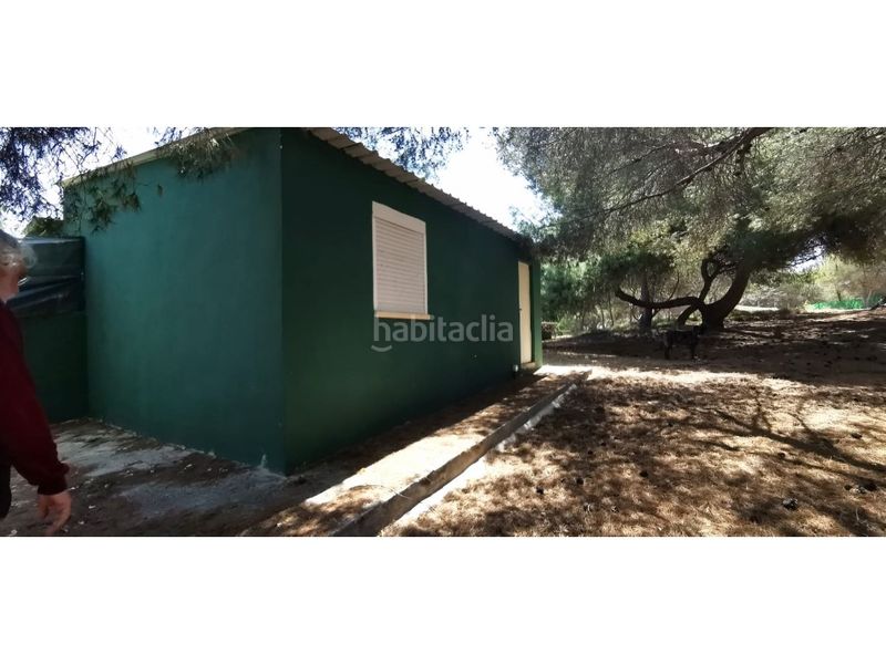Foto f47d5da3-a9fe-46ef-8803-3ed141215815. Casa amb piscina a La Marina Elche / Elx