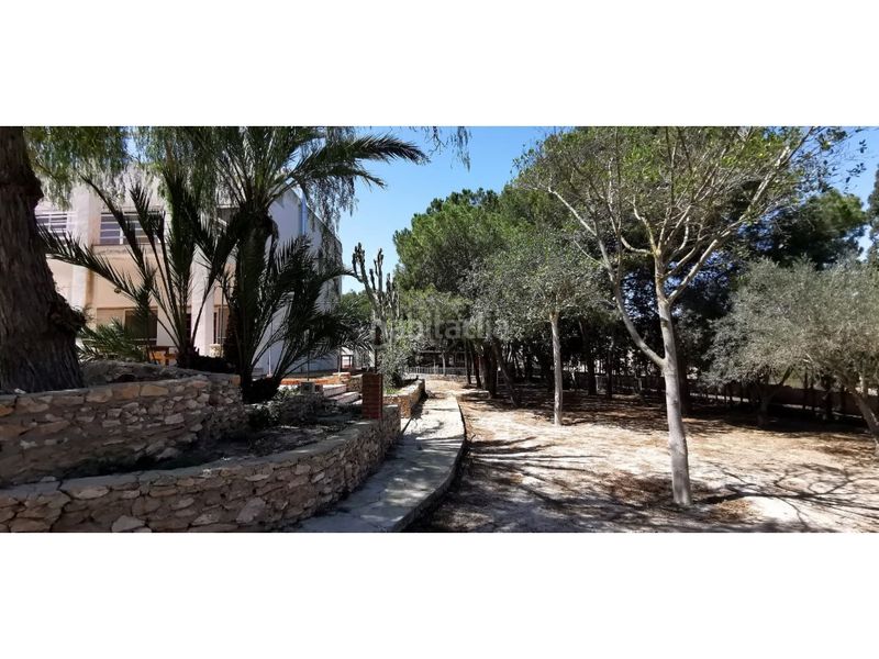 Foto f530ae63-b40b-435a-9a9c-18b8b40be7b7. Casa amb piscina a La Marina Elche / Elx