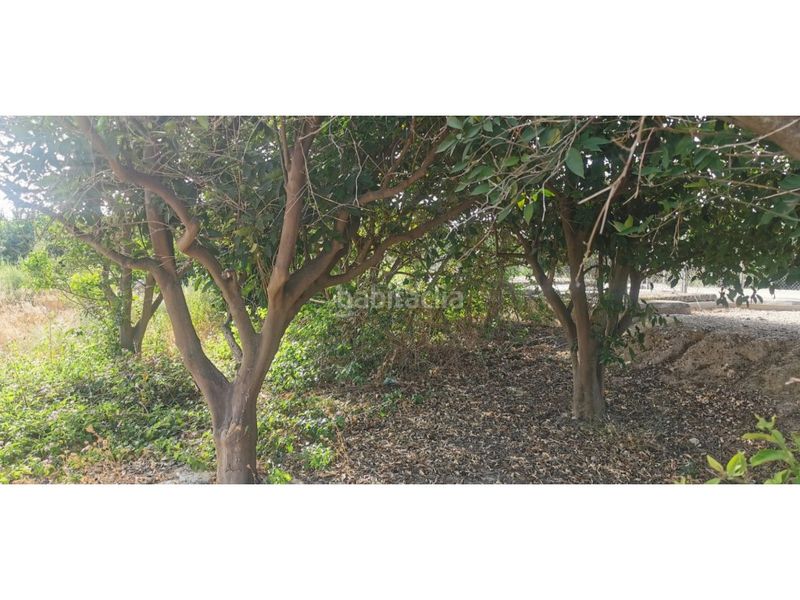 Foto 1a08a452-54c1-4981-82e6-28aeb6290454. Terreny residencial a Benferri