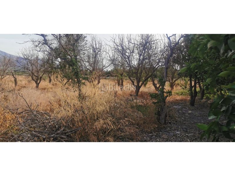 Foto 64d391b7-741b-4279-b18c-4ff21155a28d. Terreny residencial a Benferri