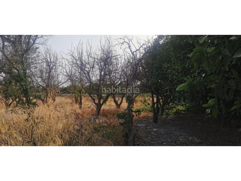 Foto a0b96ca1-0456-46e8-8796-13d0b92a5a30. Terreny residencial a Benferri