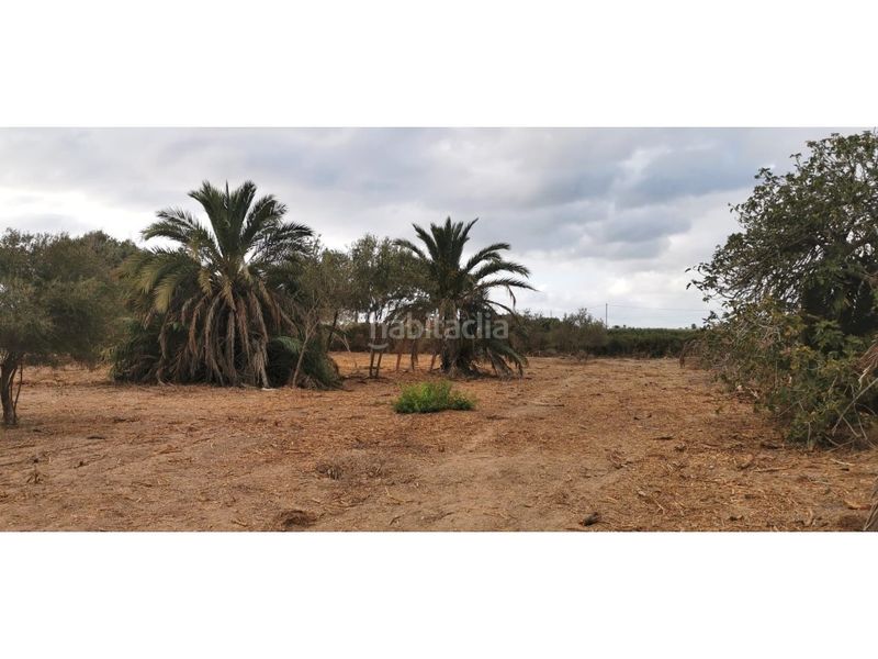 Foto 0a78a815-5723-435f-b4a9-12f543b658f0. Terreny residencial a La Marina Elche / Elx