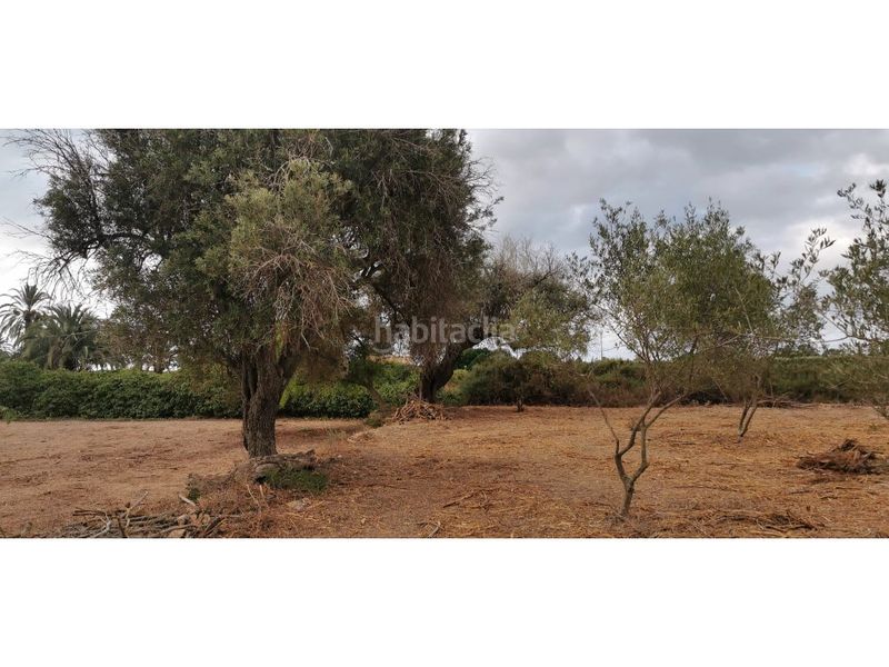 Foto 11c7d85d-dc11-41ce-bf6b-58068b0e5f33. Terreny residencial a La Marina Elche / Elx