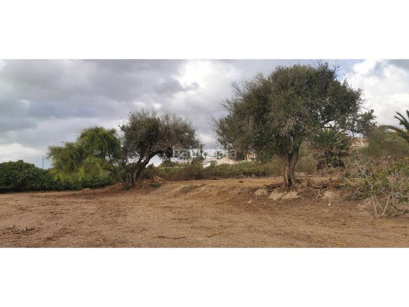 Foto 1488a0ae-8cf3-4622-b9c9-41cfb8f66873. Terreny residencial a La Marina Elche / Elx