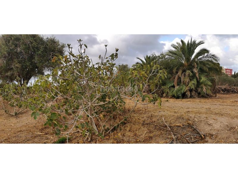 Foto 378953c5-4e8a-4c8e-bb4d-537cab1034ee. Terreny residencial a La Marina Elche / Elx
