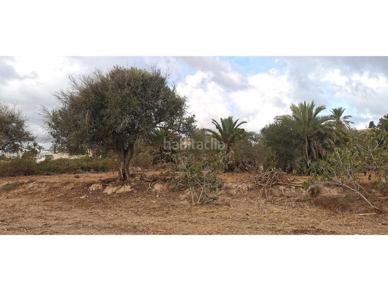 Foto 483703c8-dfa2-47e2-8b61-61540a59962d. Terreny residencial a La Marina Elche / Elx
