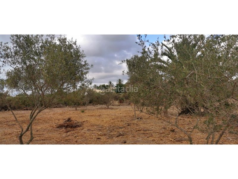 Foto 8ed97f07-6695-47ef-9cd2-aea8488a8534. Terreny residencial a La Marina Elche / Elx