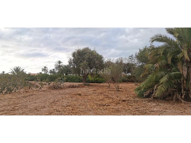 Foto e0c663f6-7725-41c0-a75a-782eb2c5d7a5. Terreny residencial a La Marina Elche / Elx