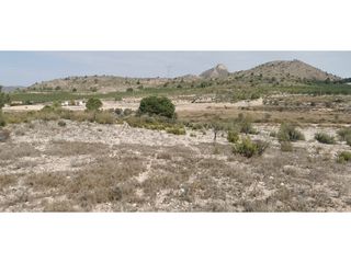 Terreny residencial a Salinas. Terreno rústico para construir vivienda en salinas alicante