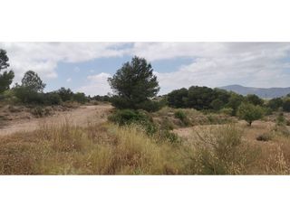 Fondo rustico  Poligono 7 paraje 94 umbria. Parcela rústica de 11.600 m en hondón de las nieves con electric
