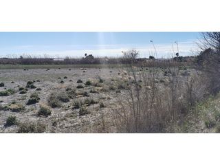 Finca rústica a Algorós - El Derramador. Gran oportunidad terreno rústico 6,400 m en crta. elche dolores
