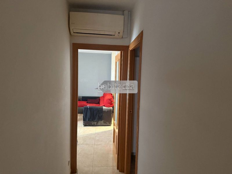 Foto f3d394a0-e5ac-45ec-89c0-85ccb42790bc. Pis a castell 5 a Migjorn Reus