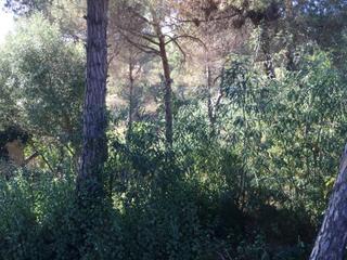 Residential Plot  Calle benidorm