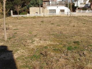 Terreny residencial a Santa Susanna. Totalmente planos, y vallados con muros