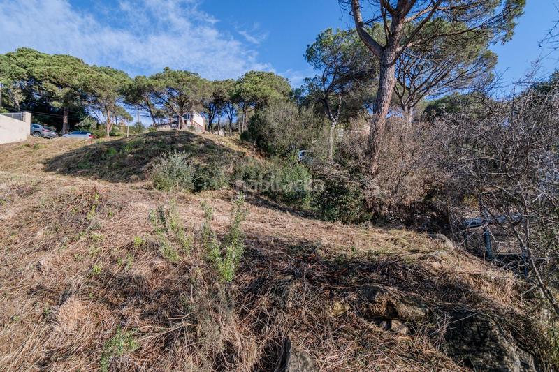 Foto ee20ea0a-7809-4e03-ba1f-857823c34153. Terreno residencial diseña tu casa ideal en Dosrius poble Dosrius
