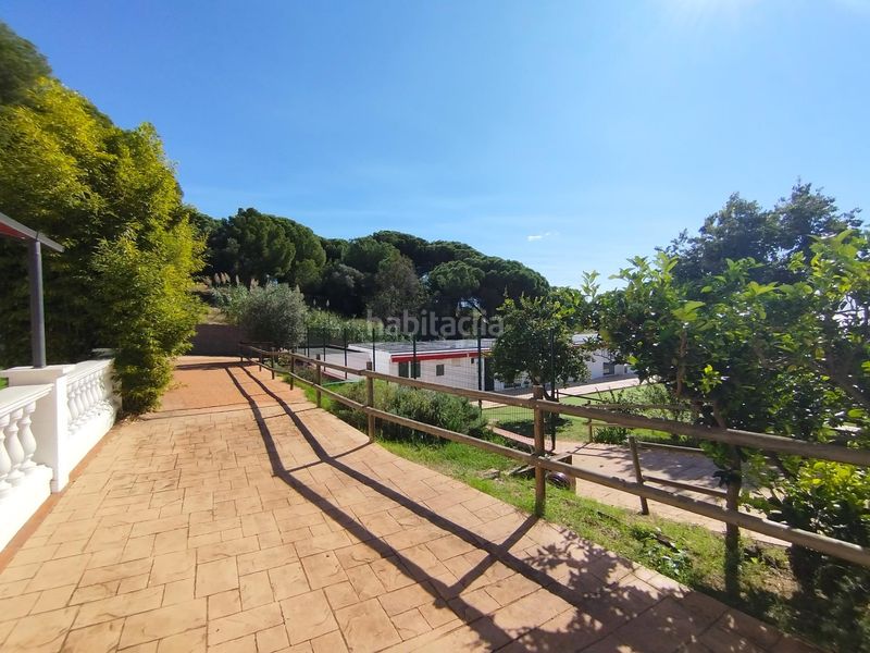 Foto 33eb2bf7-7cff-4650-90e3-b0709a54cdc0. Local comercial a Canet de Mar