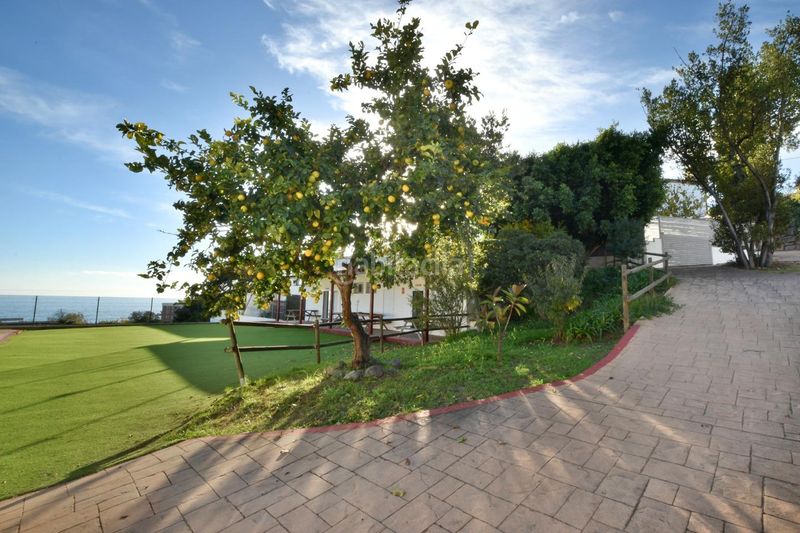 Foto 4a3eb6e7-b19c-4946-9f21-e9ae646e45a3. Local comercial a Canet de Mar