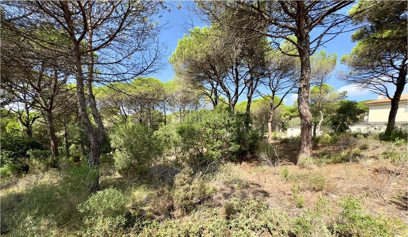 Foto 3ad71092-29b9-47af-8fa5-021a1c227ade. Terreno residenziale in La Goba Vidreres