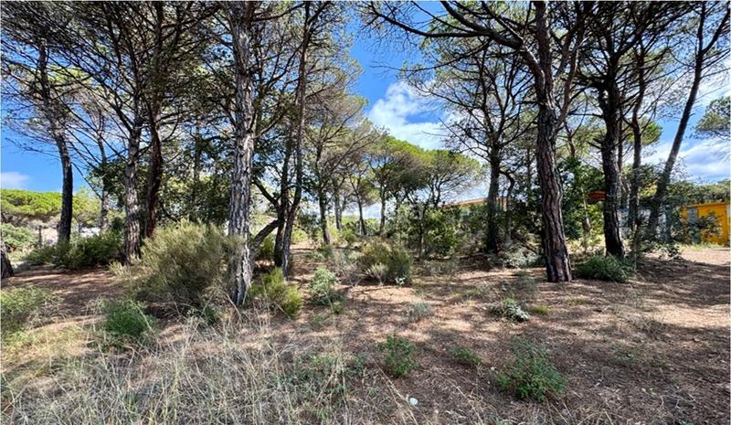 Foto 49bd2406-dbc4-4562-80f0-e87fa21256db. Terreno residenziale in La Goba Vidreres
