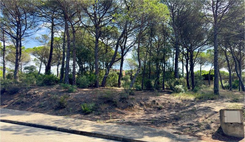 Foto e45c6d95-dd15-4bfb-89ae-51385fe421c6. Terreno residenziale in La Goba Vidreres