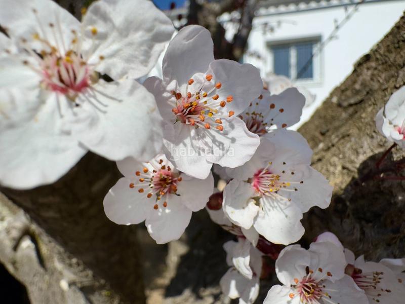 Foto b0d53a28-03ed-4a4a-9a45-e4f1503ff158. Maison avec chauffage parking dans terrabrava - Tordera parc Tordera