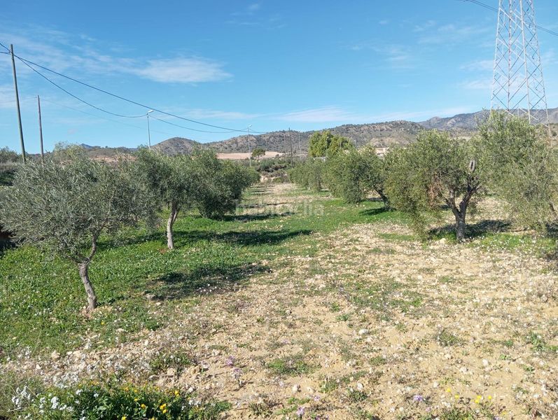 Foto d5a83ee9-a20b-4482-83cd-101320652ee5. Finca rústica a Abanilla
