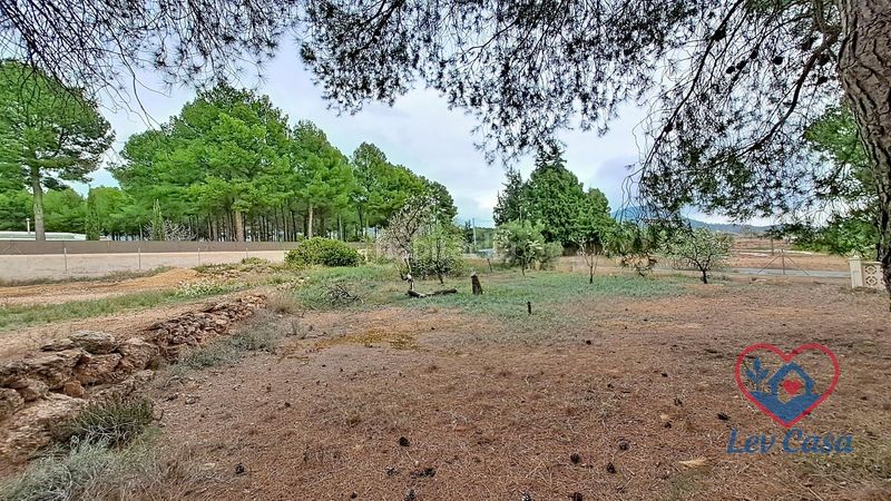 Foto 6728ab05-4375-4974-b8b6-7aebcabf43af. Casa amb aparcament a Aledo